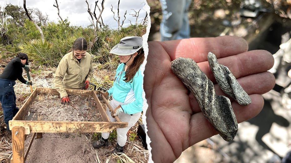 Ancient artifacts found beneath Cape Canaveral Space Force Station as one mystery still stumps researchers Gold Coast Optometrists
