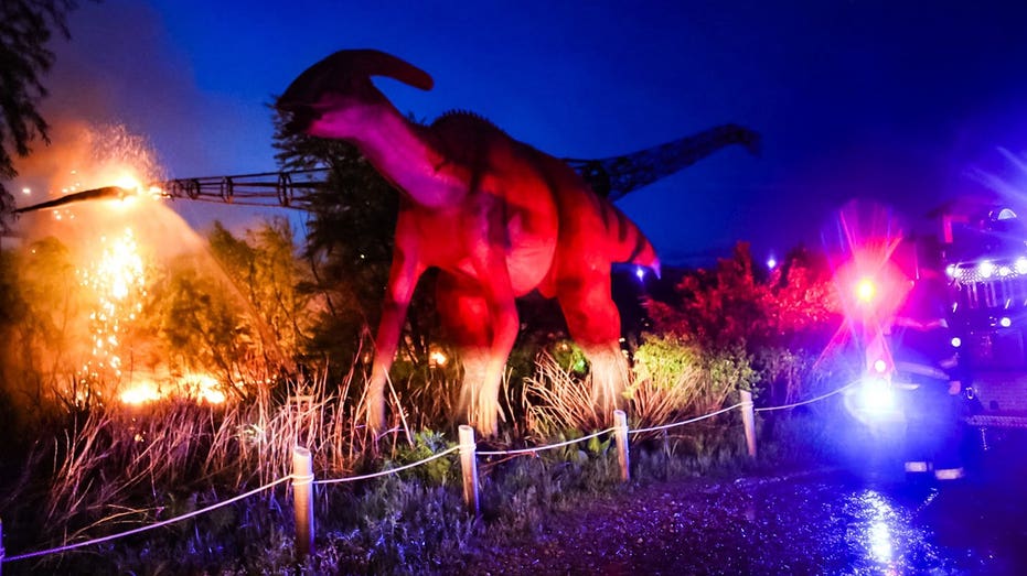 Lightning strike turns 100-foot dinosaur into raging fireball, stunning onlookers Gold Coast Optometrists